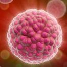 Os medios causais de papiloma humano